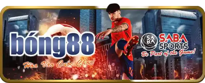 Cá cược bóng đá hay88 win